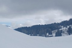 J_20240212_141252.jpg_compressed