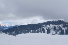 J_20240212_141339.jpg_compressed