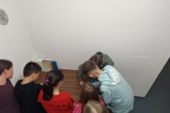 J_20240212_205104.jpg_compressed