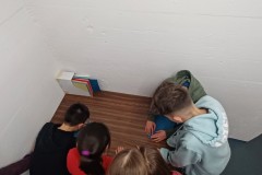 J_20240212_205108.jpg_compressed