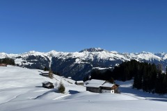 20230213_133138782_iOS