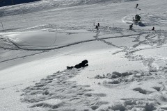 20230213_133215323_iOS