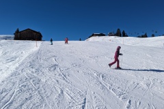 PXL_20230213_130805655.MP_