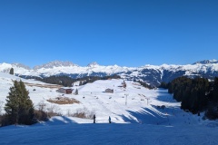 PXL_20230213_131039115