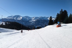 PXL_20230213_140321566