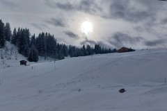 J_20240211_154245.jpg_compressed