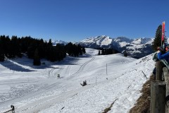 20230212_112325895_iOS